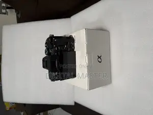 Sony A7 v Mirrorless Camera