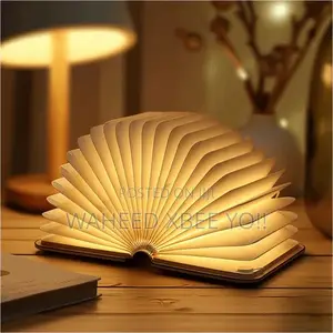 Reovolutionary Lamp Book