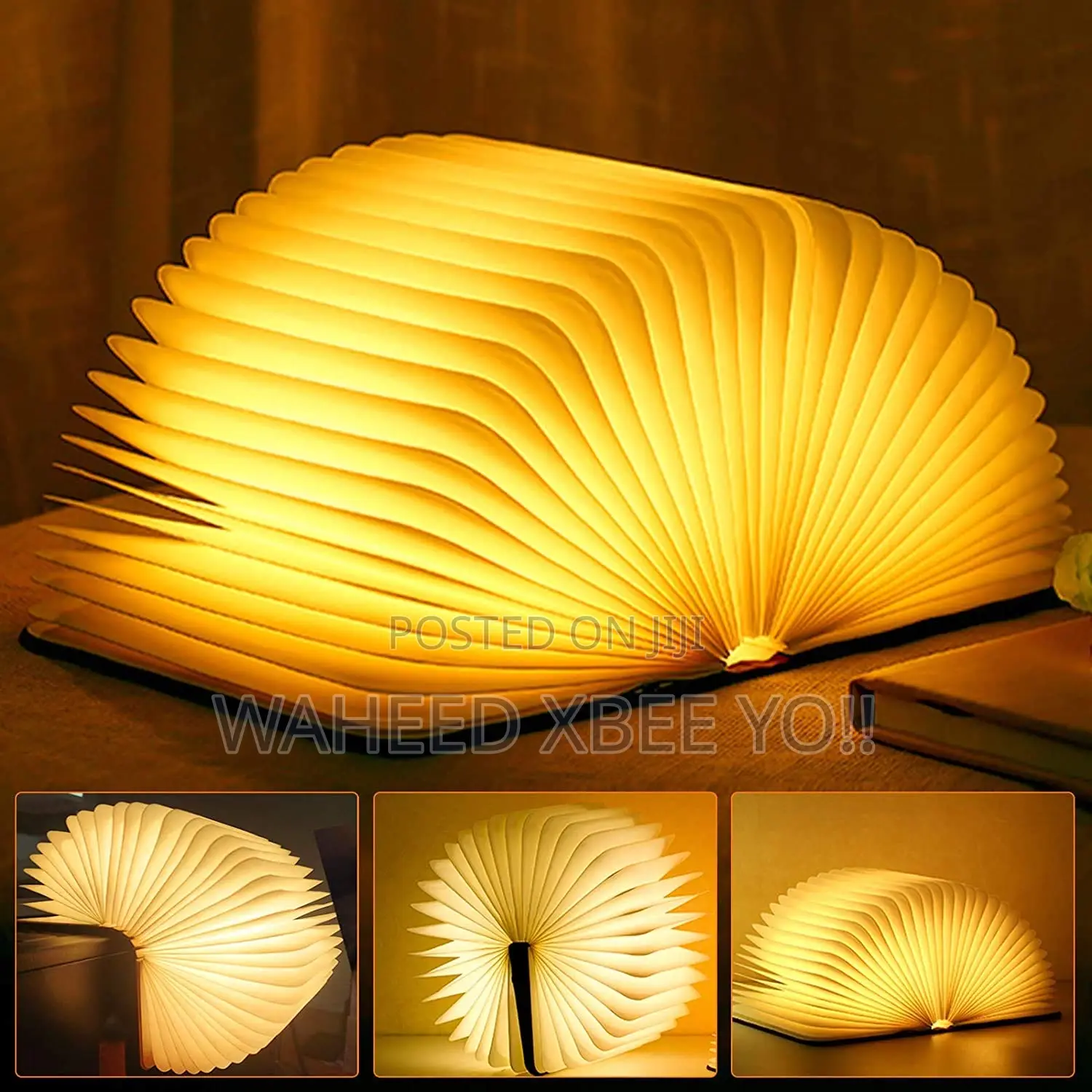 Reovolutionary Lamp Book