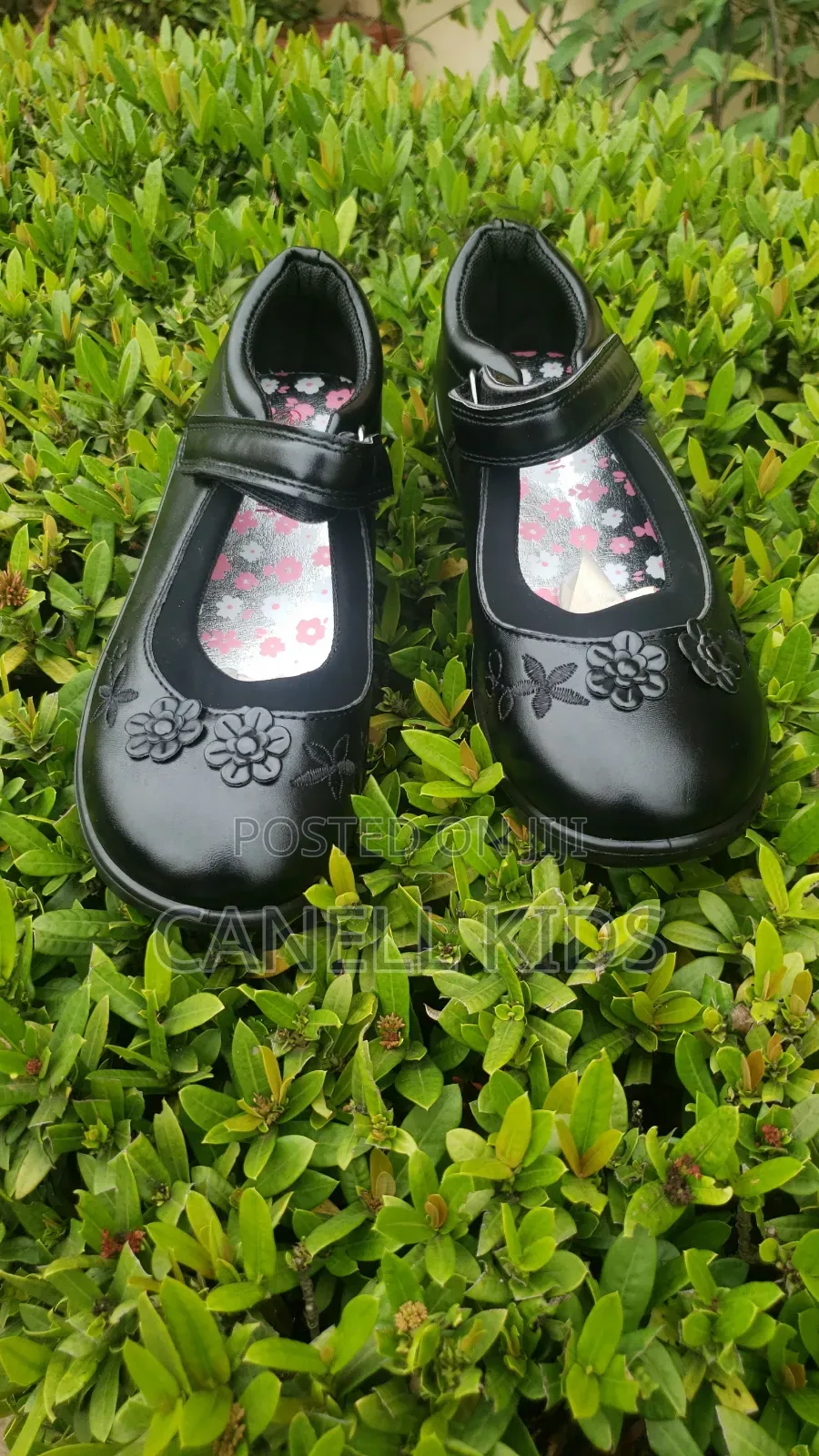 Kids School Shoes
