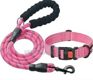Pink Collar With Leash