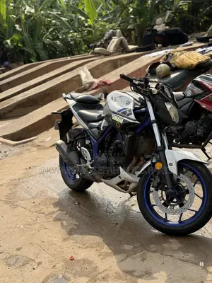 Yamaha 2024 Blue