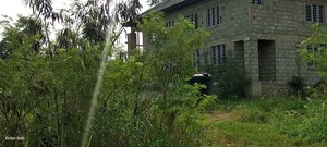 Litigation Free Land