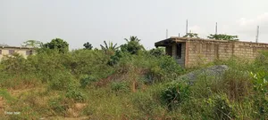 Litigation Free Land