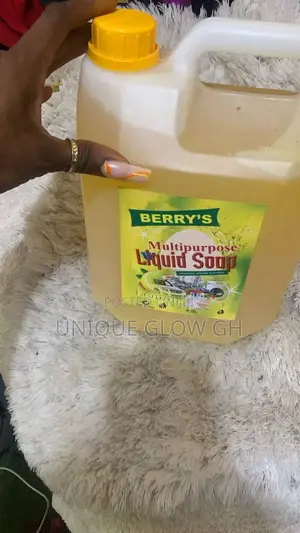 Multipurpose Liquid Perfumed Soap Hand-Wash, Laundry, Utensils