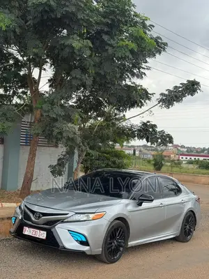Toyota Camry XSE (2.5L 4cyl 8A) 2019 Silver