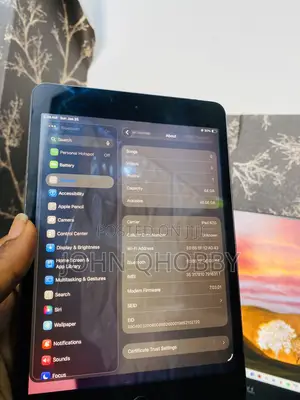 Apple iPad mini 5 64 GB Gray