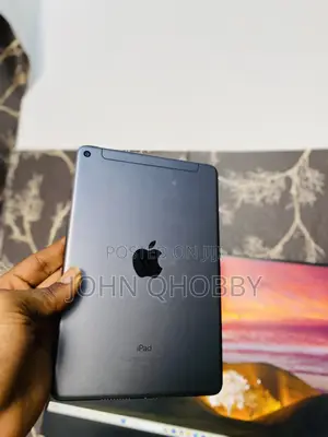 Apple iPad mini 5 64 GB Gray