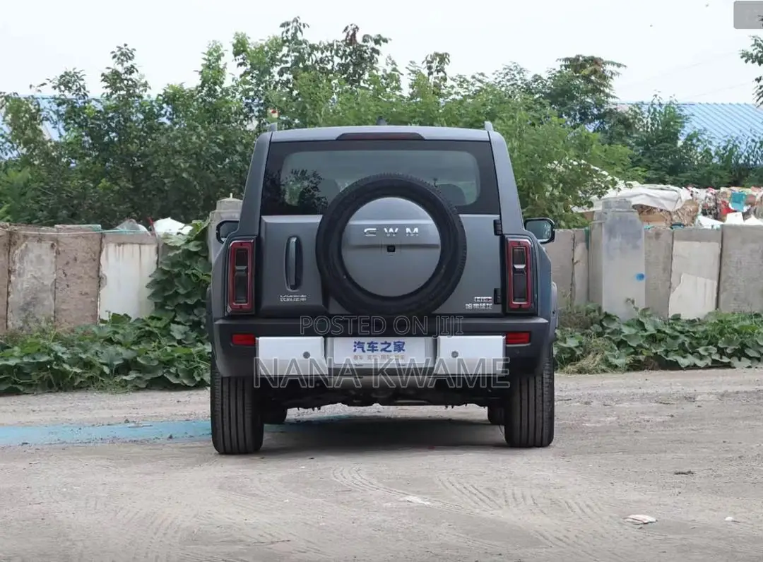 New Haval Menglong 2025 Gray