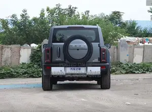 New Haval Menglong 2025 Gray
