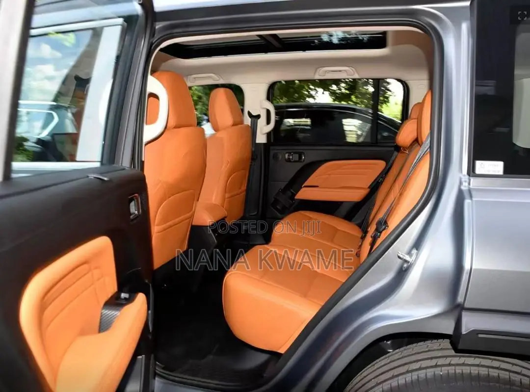 New Haval Menglong 2025 Gray