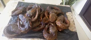 Smoked Catfish