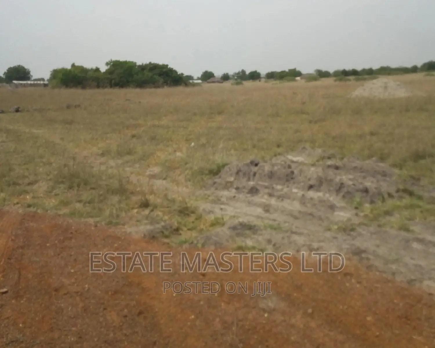 Titled Plots at Tsopoli
