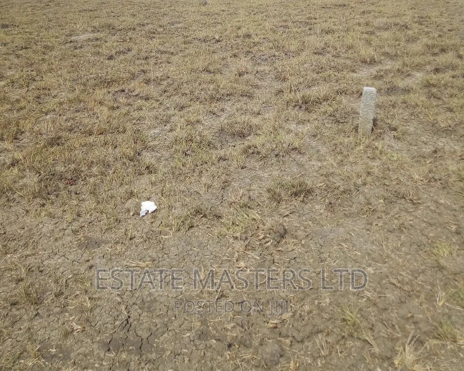 Titled Plots at Tsopoli