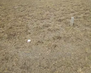 Titled Plots at Tsopoli