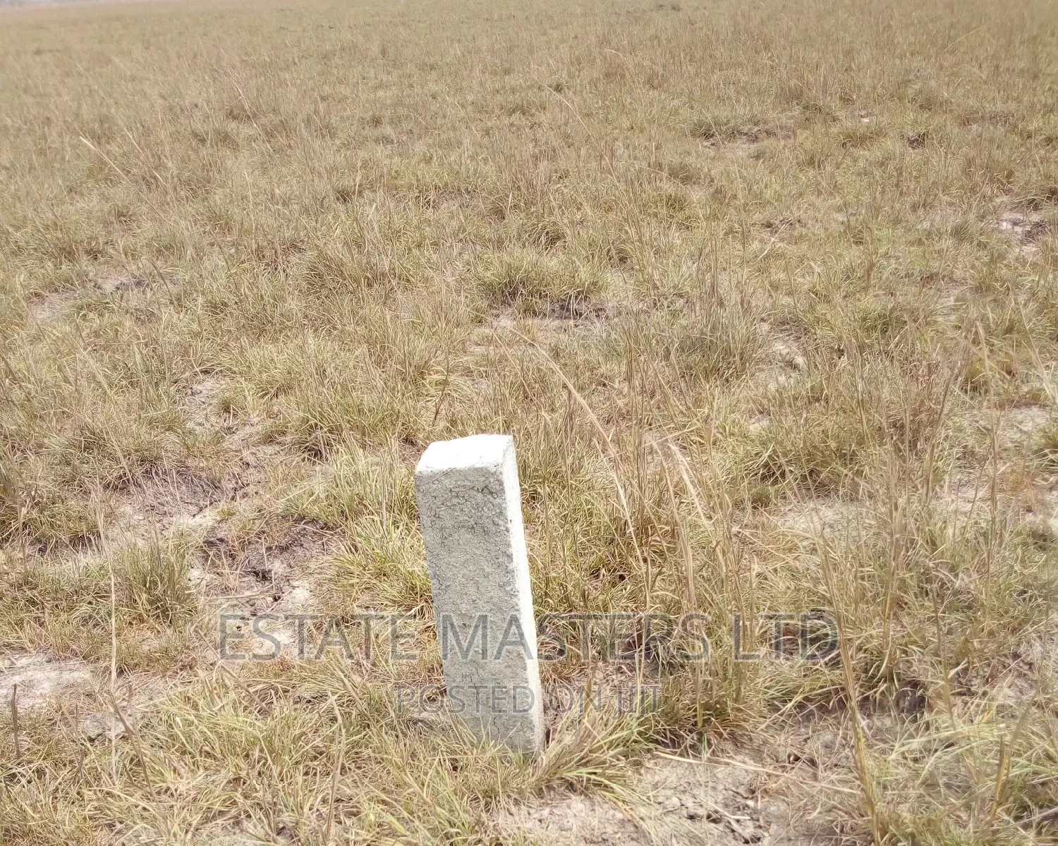 Titled Plots at Tsopoli