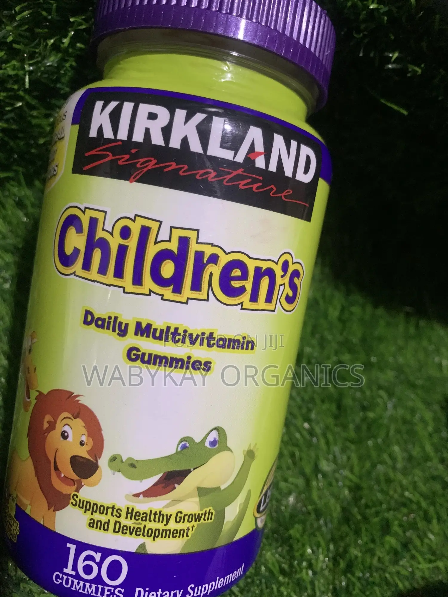 Kirkland Kids Multivitamin Gummies
