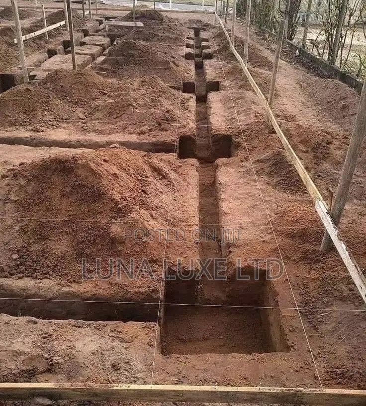 Experienced Surveyor