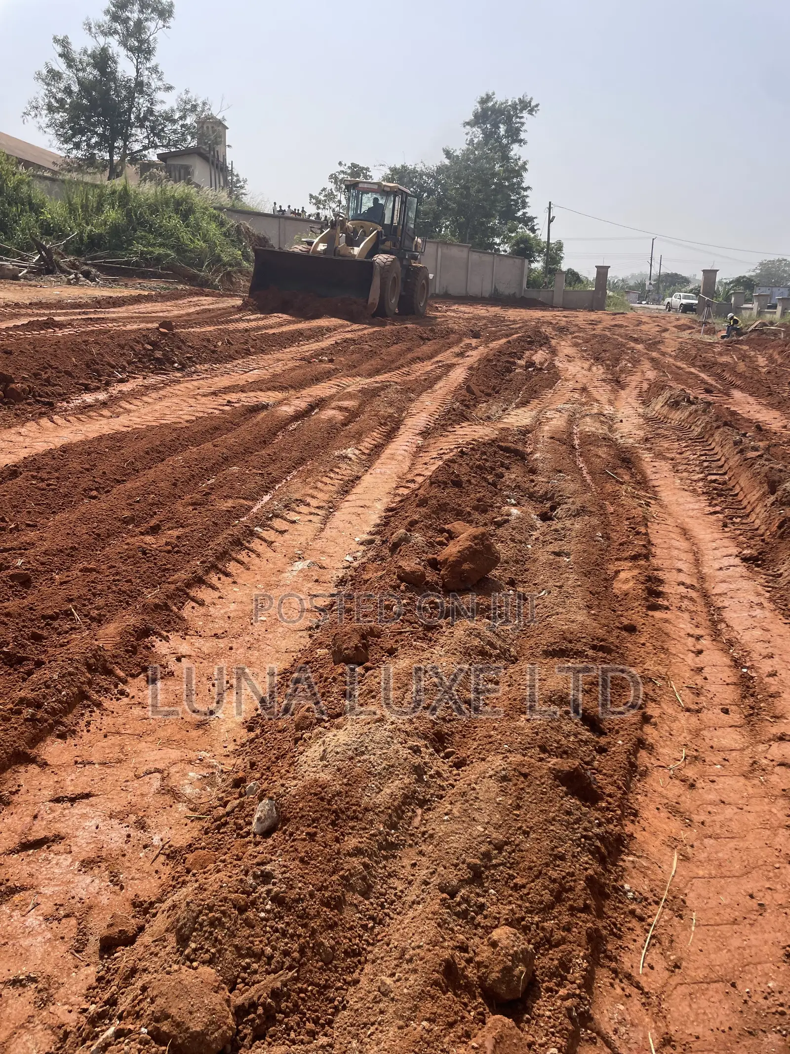 Experienced Surveyor