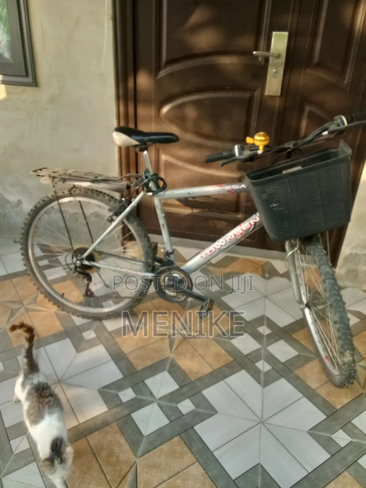 Mountain Bicycle