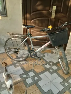 Mountain Bicycle