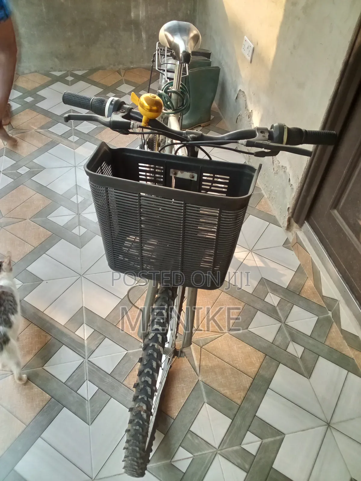 Mountain Bicycle