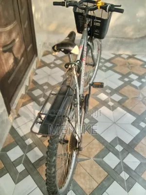 Mountain Bicycle