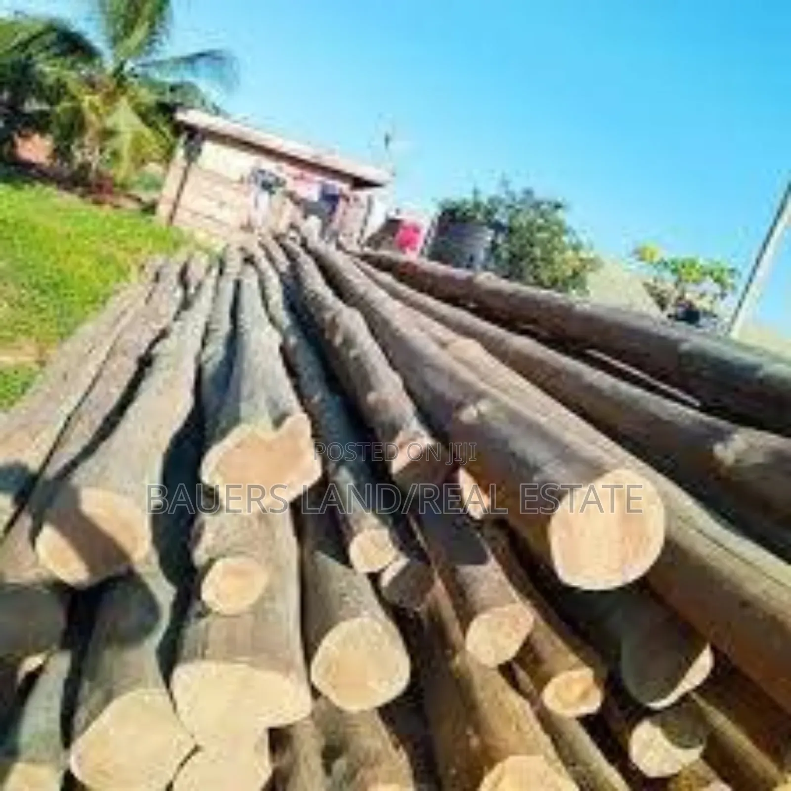 High Quality Poles