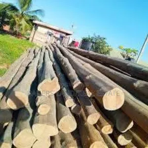 High Quality Poles