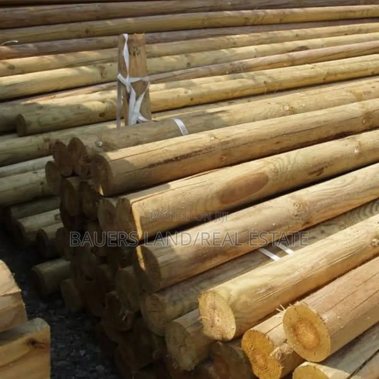High Quality Poles