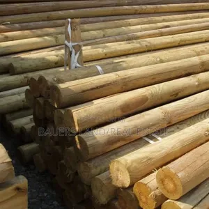 High Quality Poles