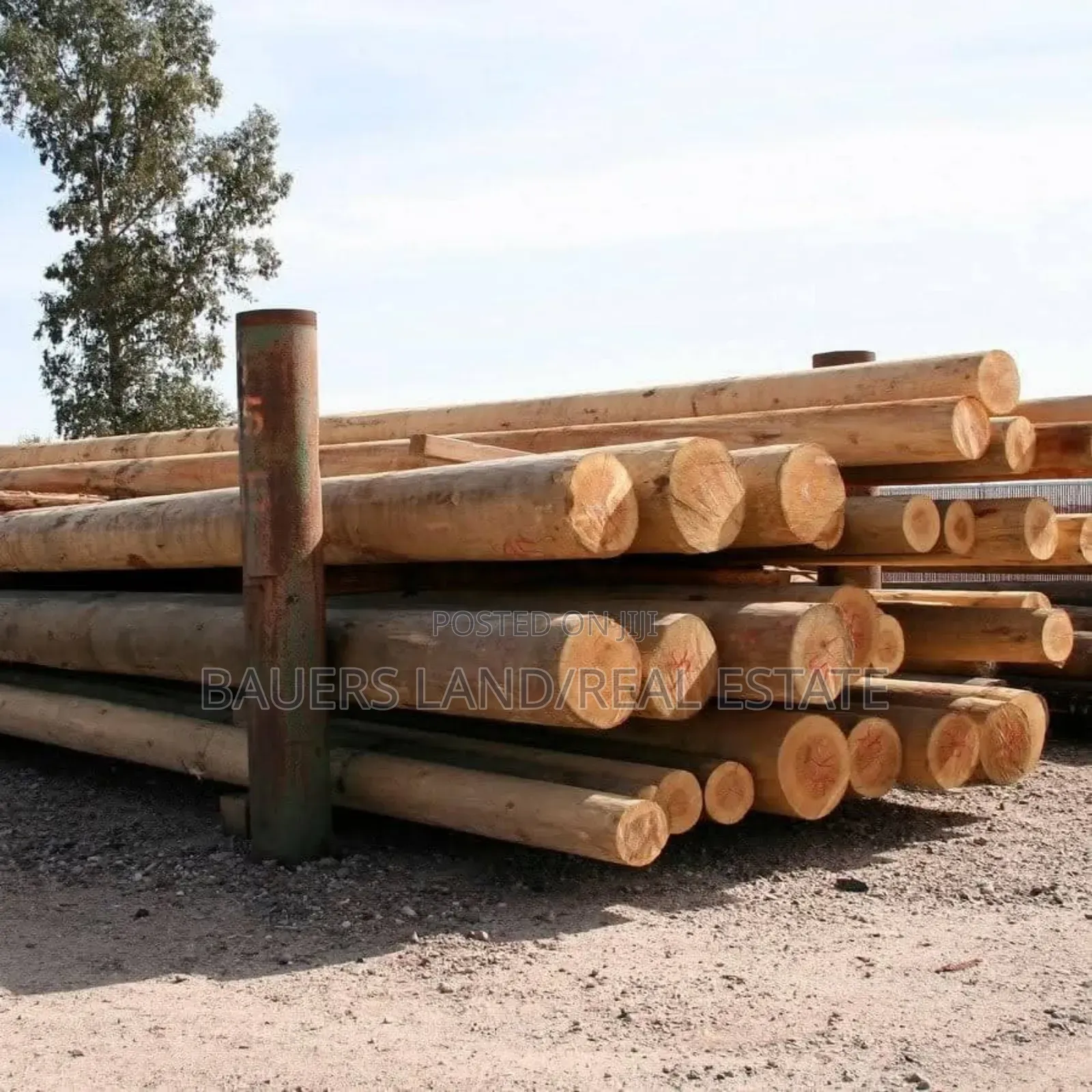 High Quality Poles