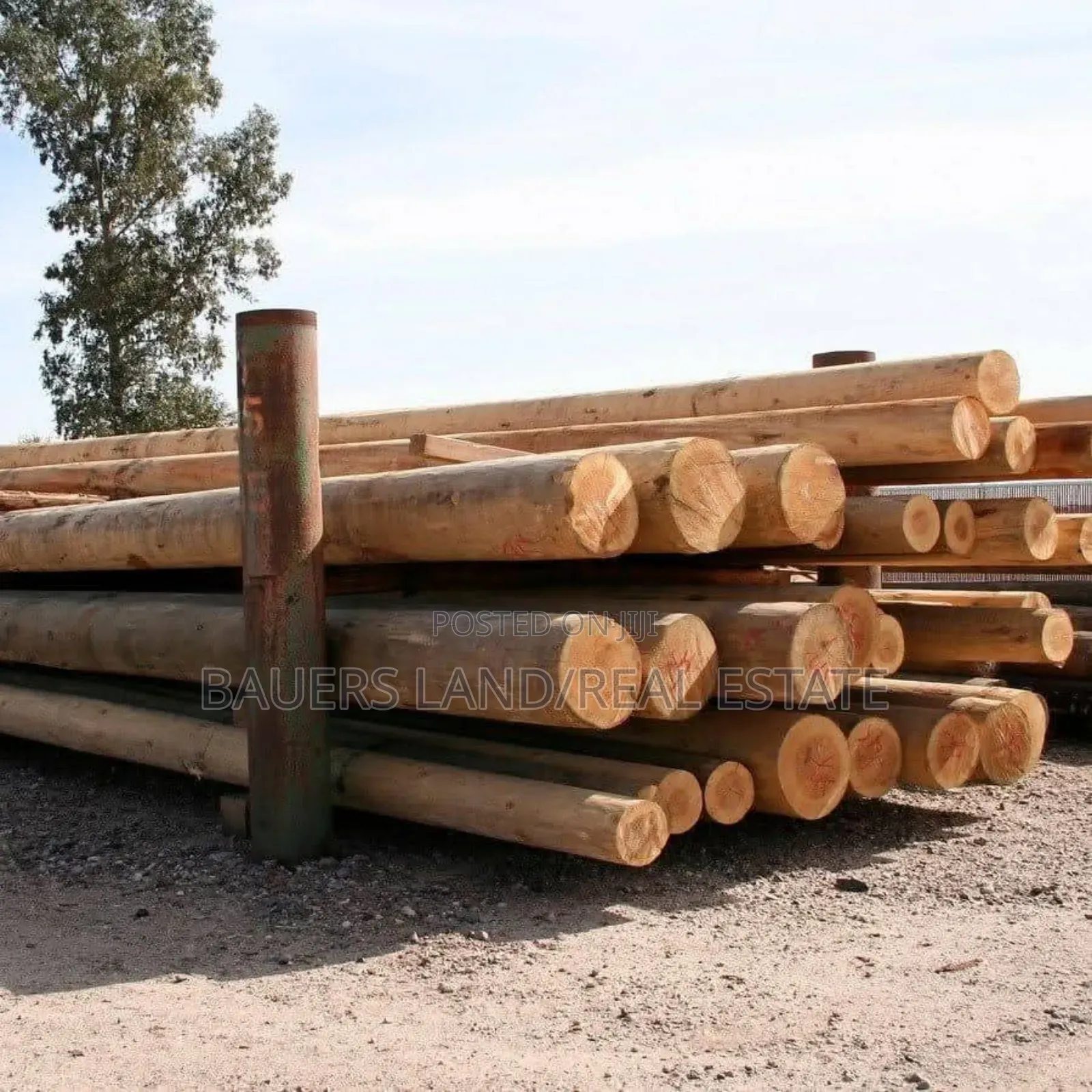 High Quality Poles