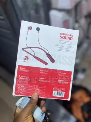 Magnetic Earphones