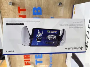 Playstation Portal