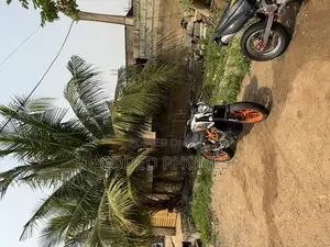 KTM 2017 Orange