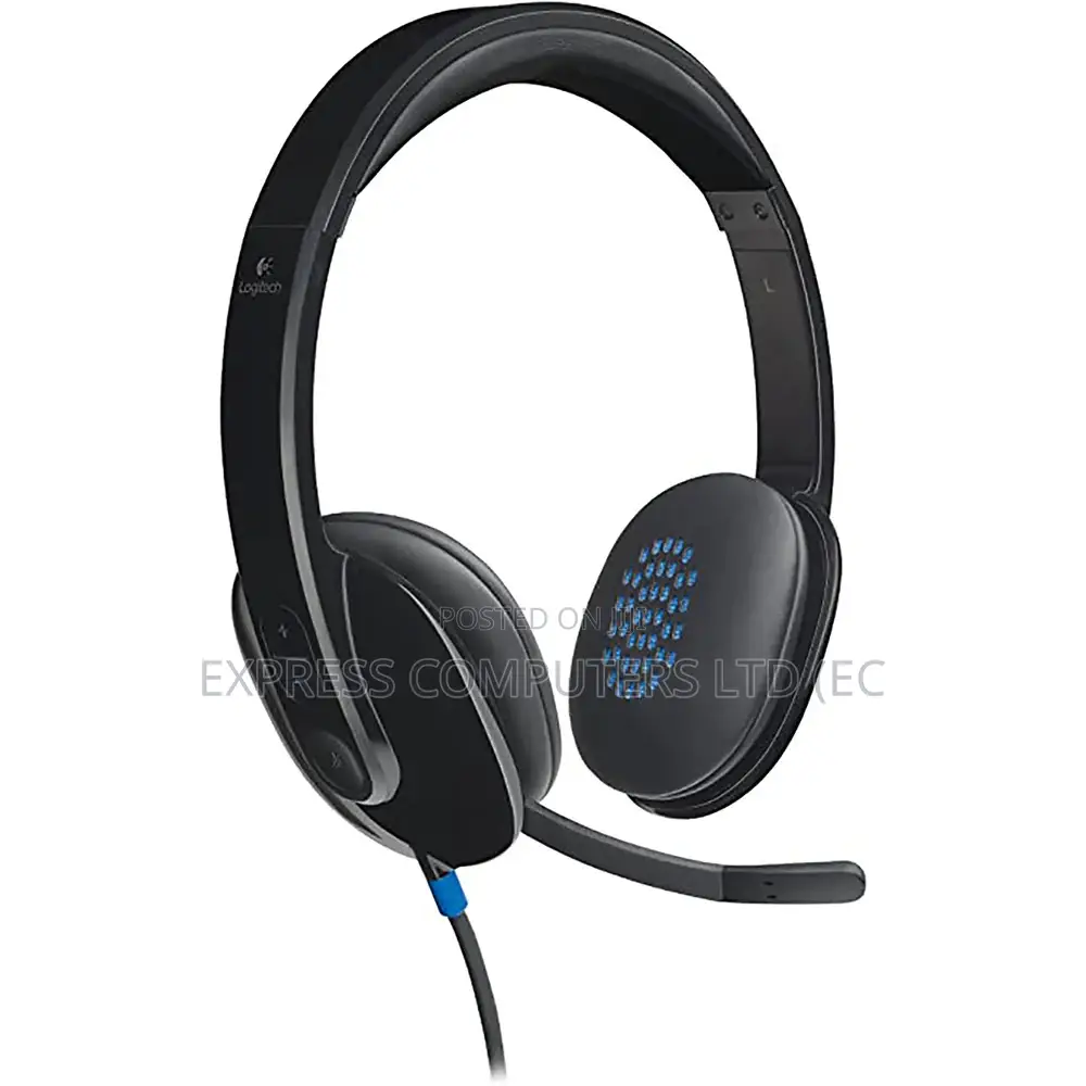 Logitech High-Performance Usb Headset H540 for Windows and Mac, Skype
