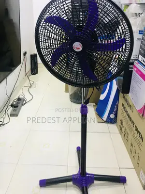 Goodstar Standing Fan 18 Inches