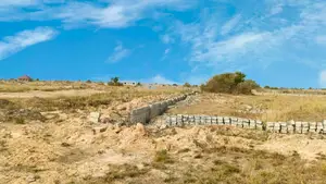 Own Land With Initial at Tsopoli Skyport City