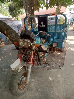 Tricycle Ihemas 2023 Blue