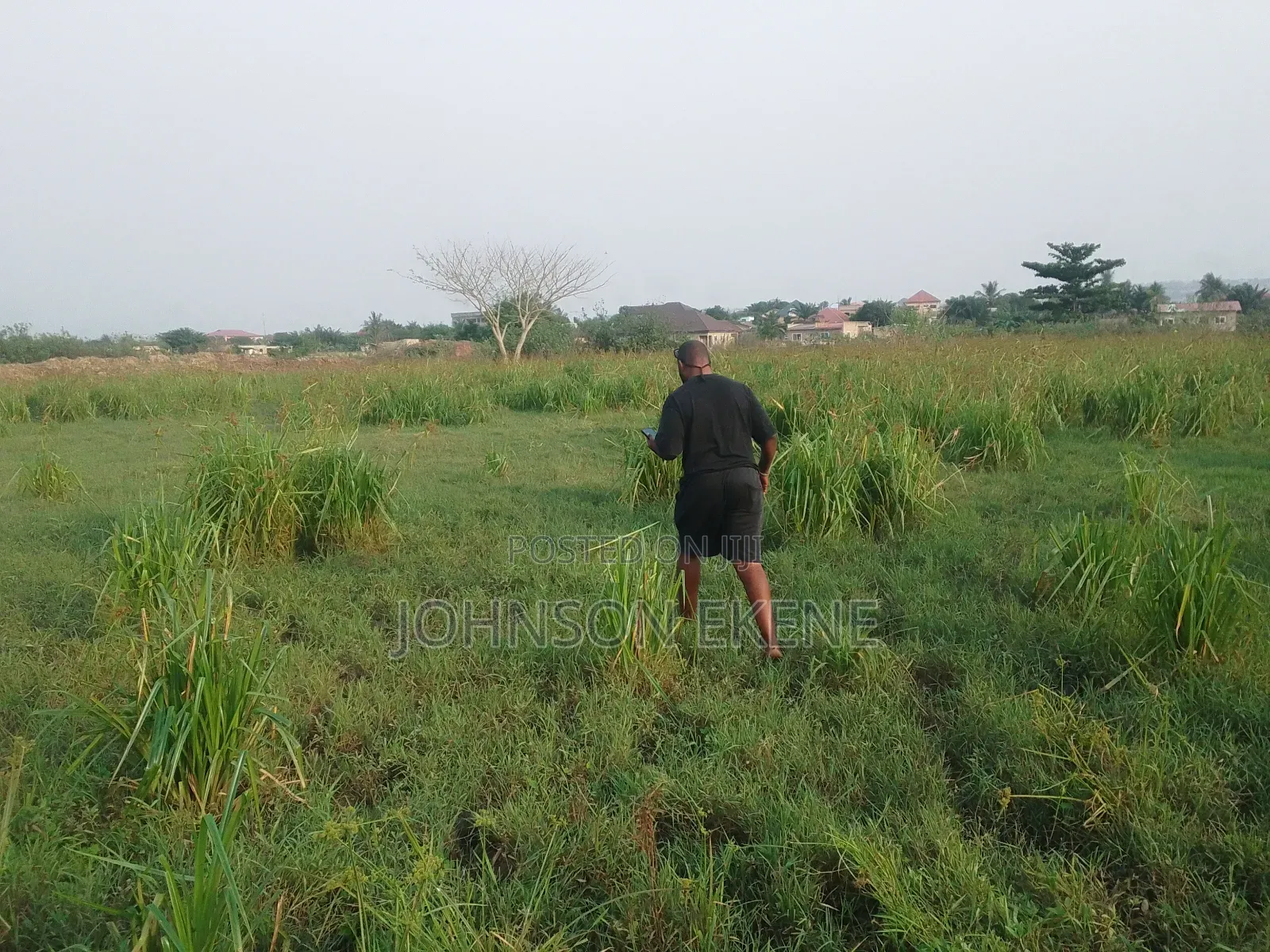 Solid Land for Sale