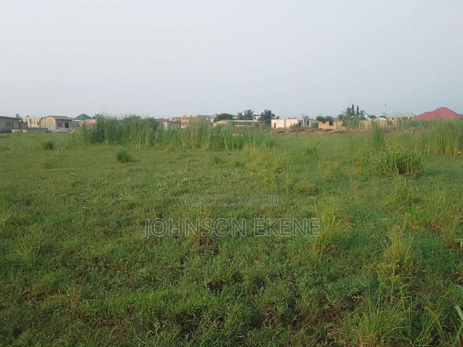 Solid Land for Sale