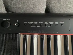 Yamaha Piaggero Np-11 Portable Digital Piano.
