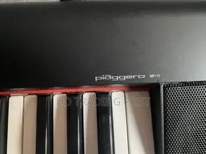 Yamaha Piaggero Np-11 Portable Digital Piano.