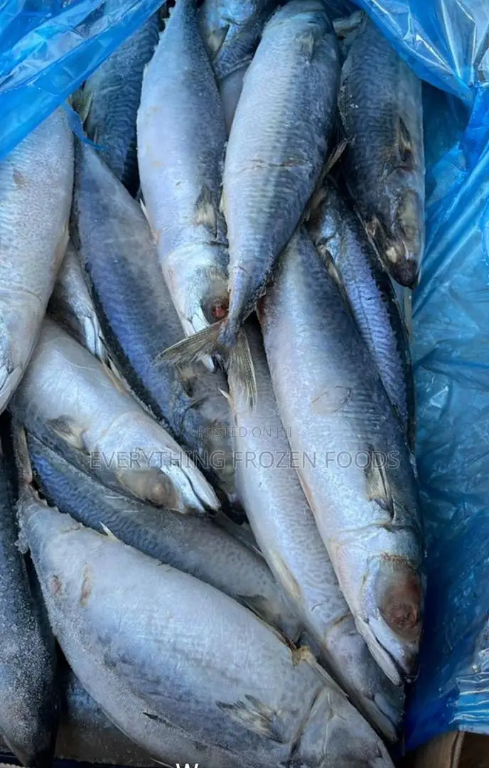 Frozen Salmon
