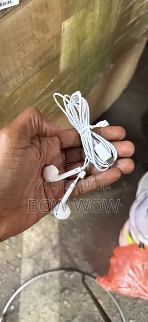 Original Earphones Type C