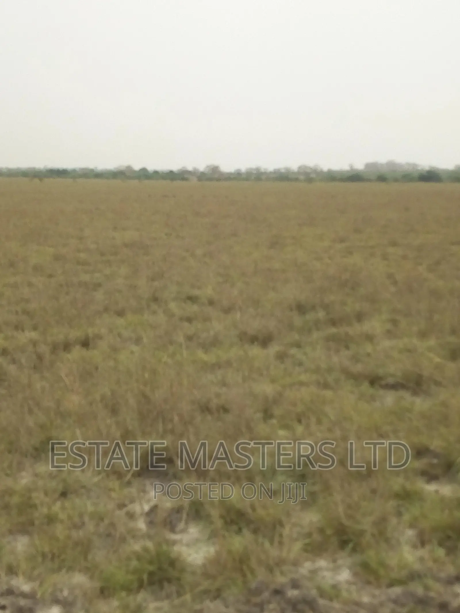 Estate Plots Near Central University