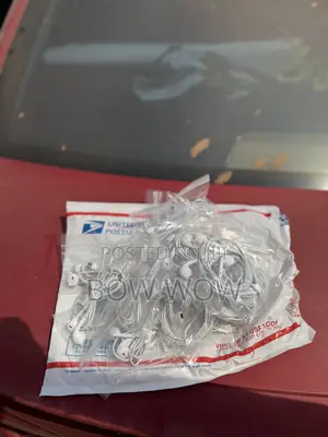 Original Earphones Type C