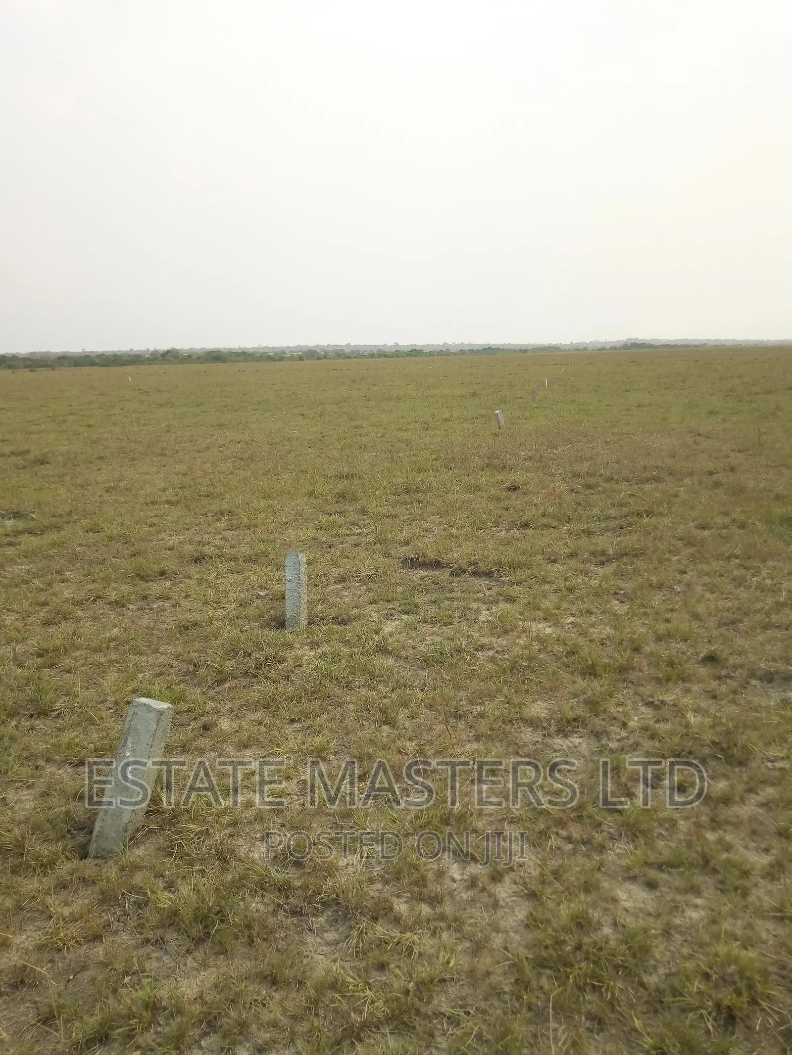 Estate Plots Near Central University