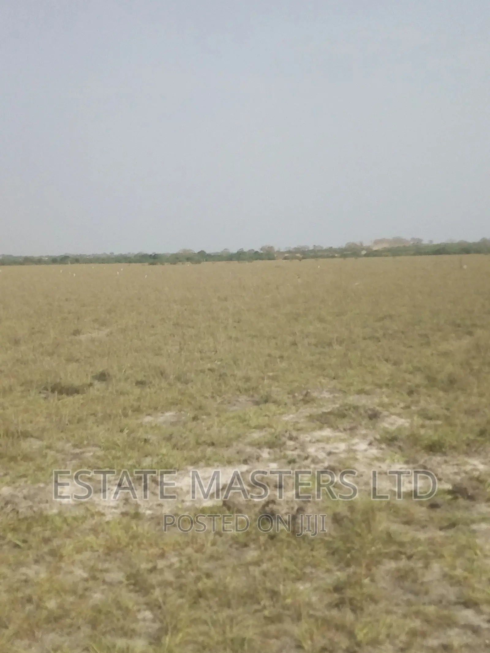 Estate Plots Near Central University